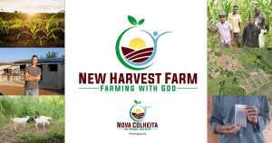 Mozambique, New Harvest Farm, ASM