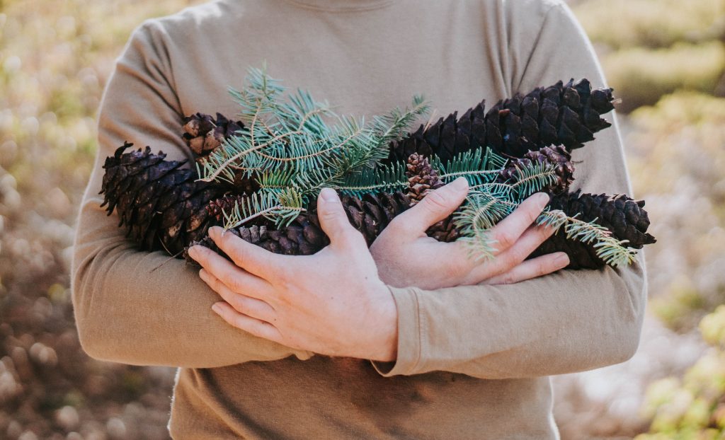 christmas, winter, hands, pinecones, evergreen branches