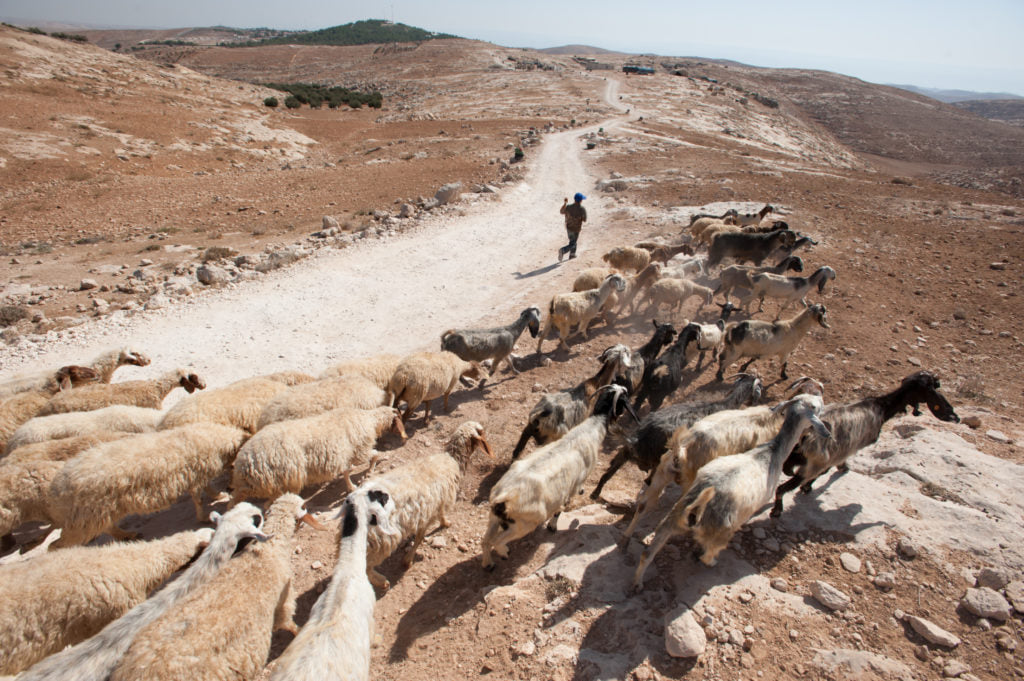 “Every land belongs to God”: Hope for land ownership conflicts in the Holy Land