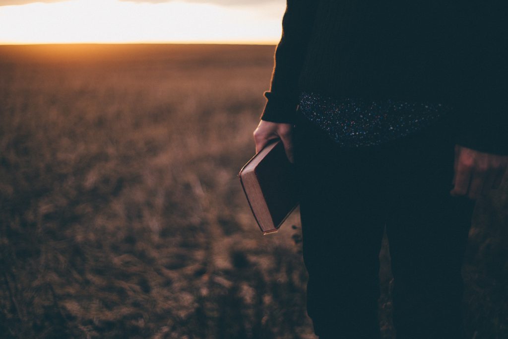 bible, hands, field, woman