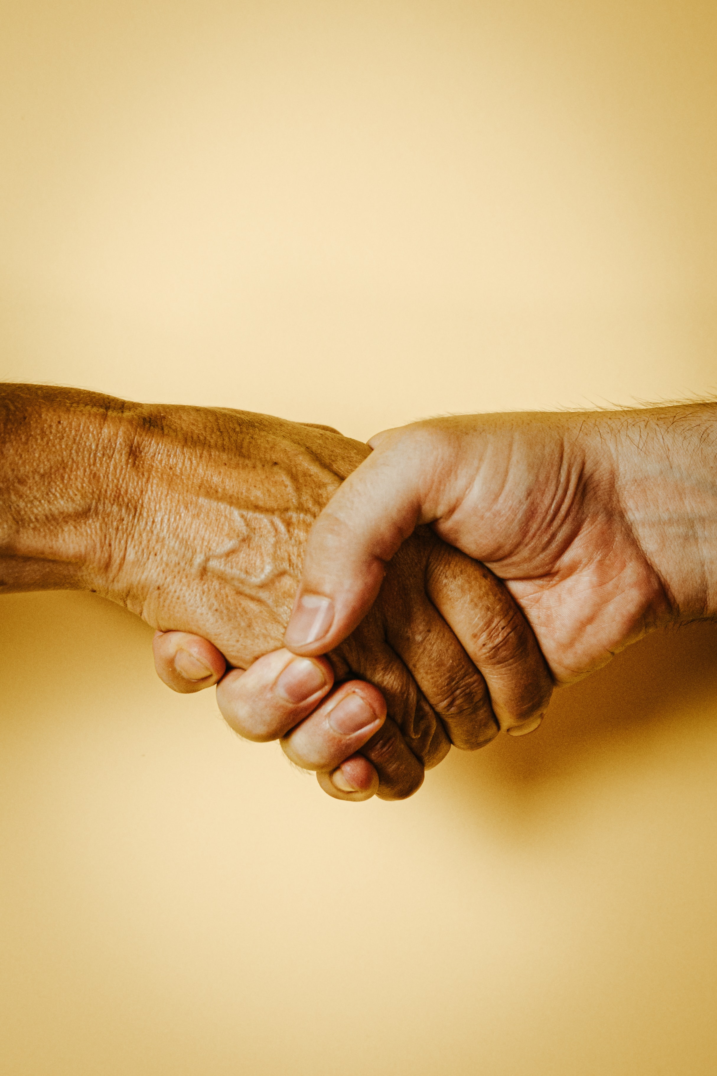 handshake, unsplash