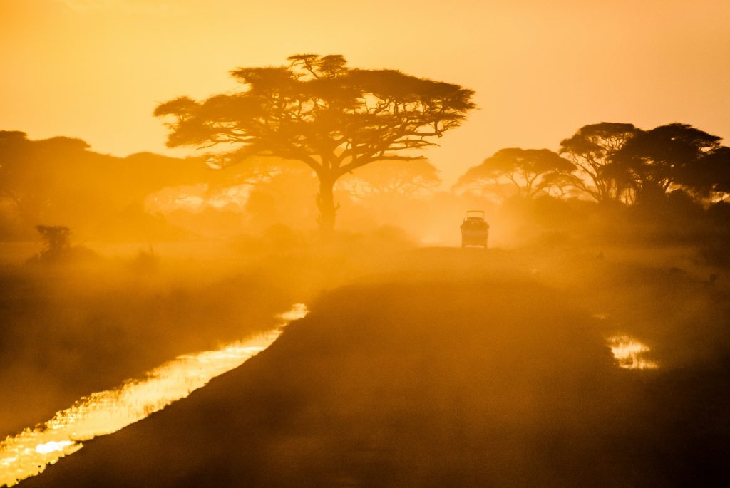 africa, van