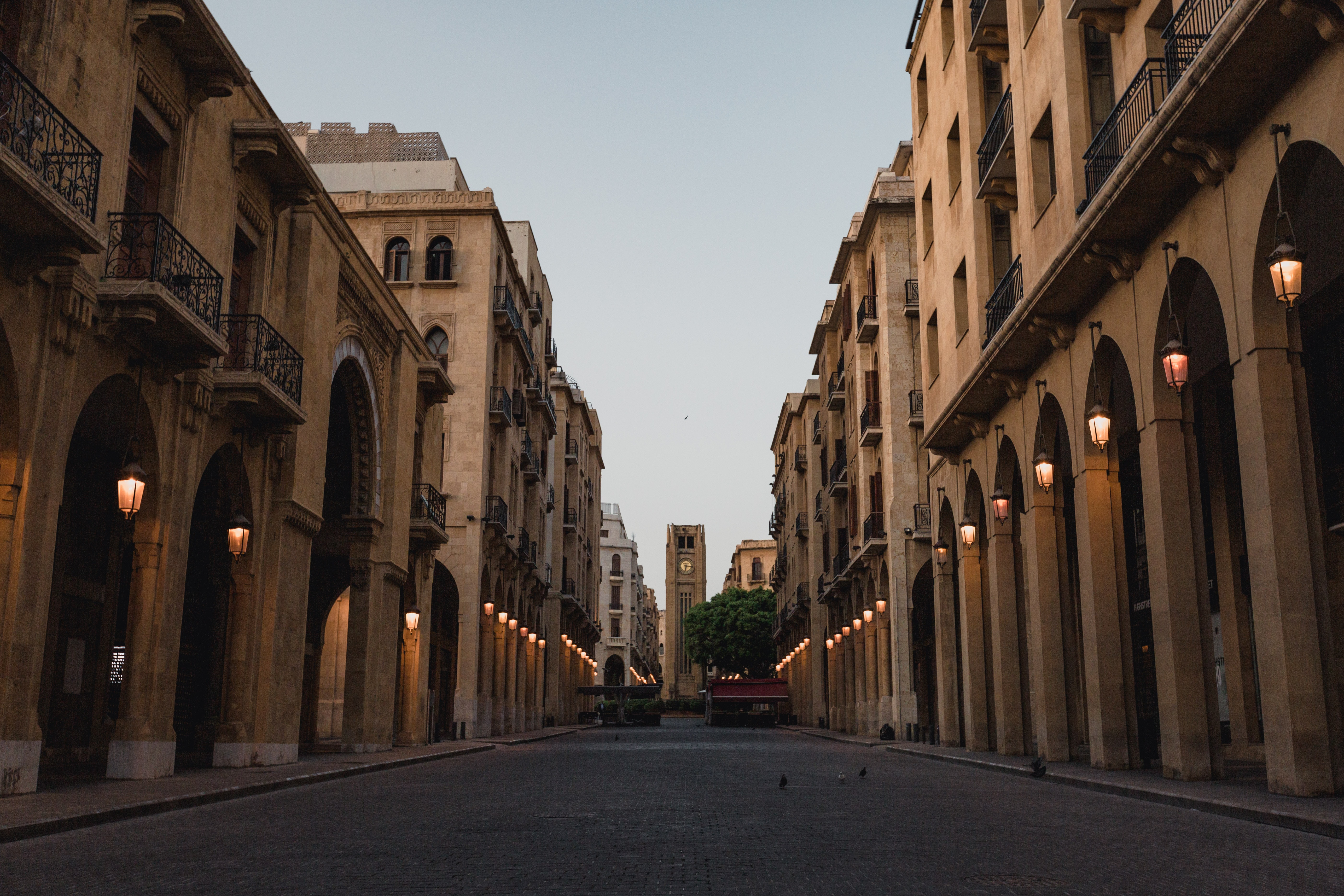 A year marked by COVID-19 and economic instability creates fertile ground for the Gospel