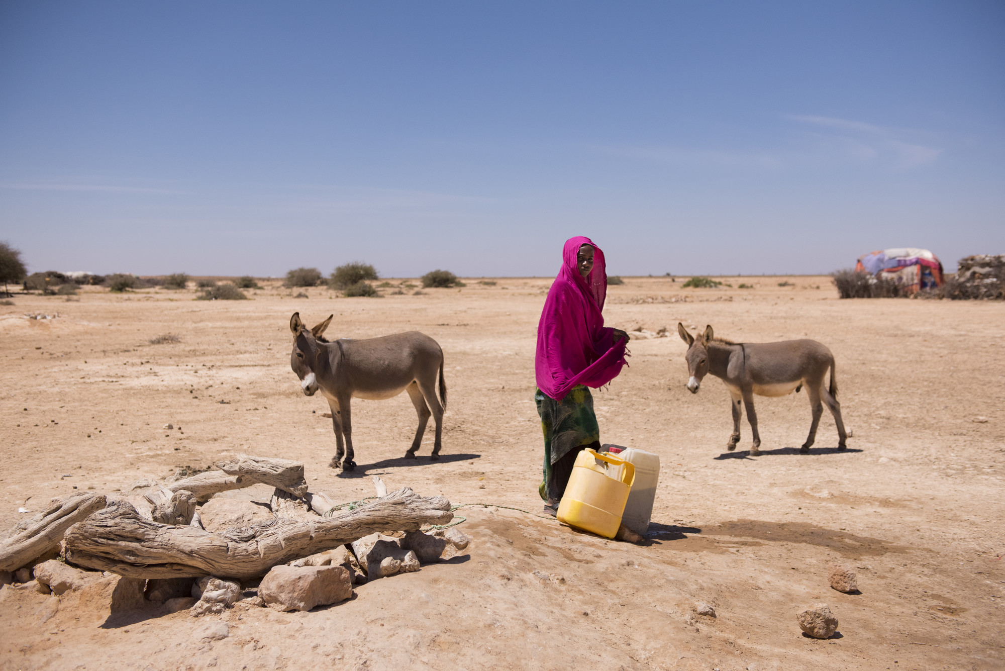 Humanitarian needs up 40 percent thanks to COVID-19