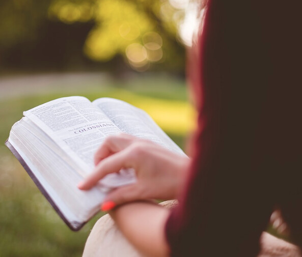 Pandemic reverses Bible engagement decline