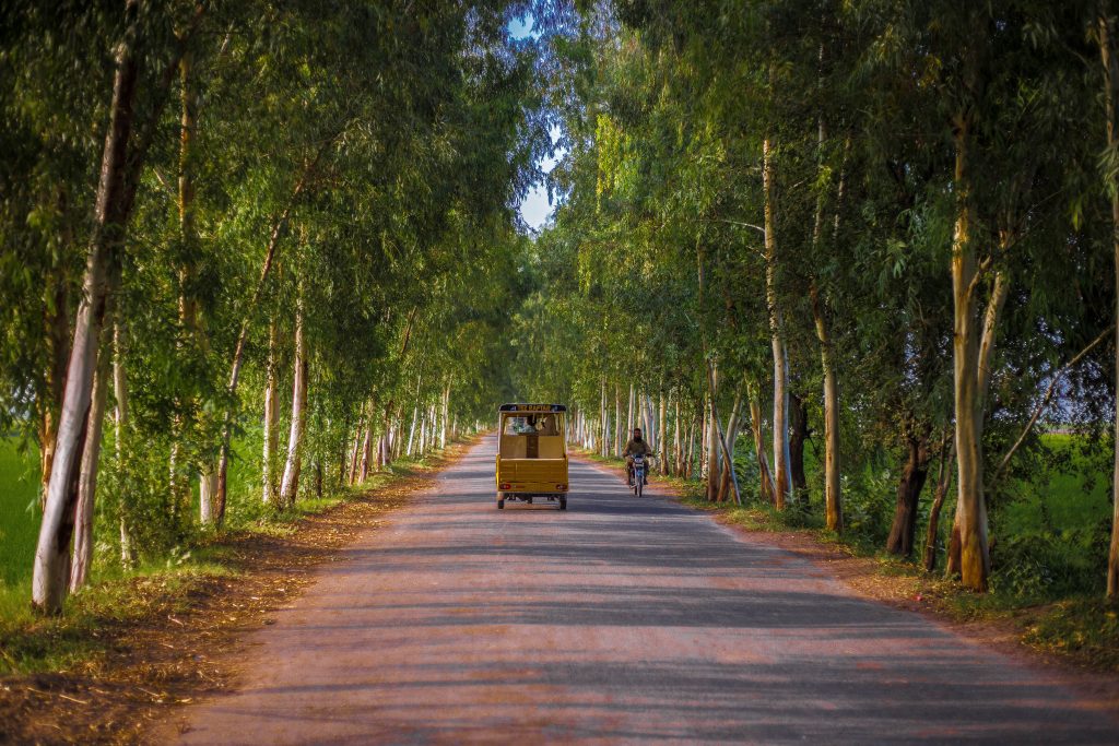 punjab, pakistan