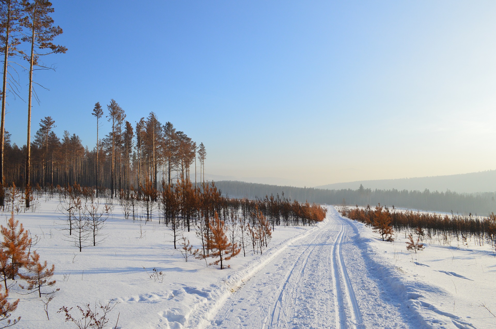 COVID-19 pandemic provides new Gospel opportunities in Slavic countries
