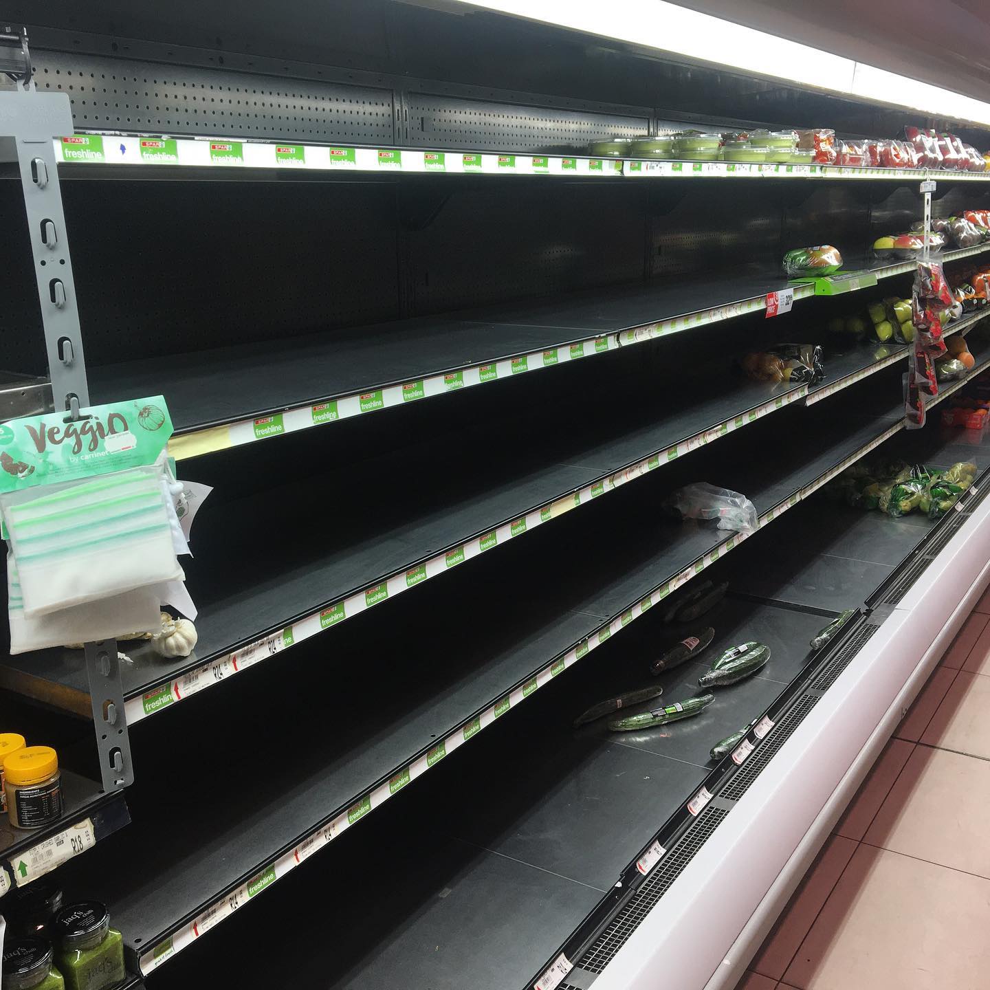South Africa to deploy 25,000 troops against looting