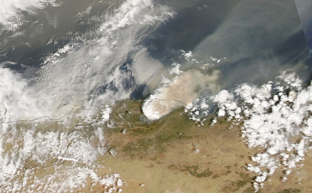 August wildfires killed 90 in Algeria