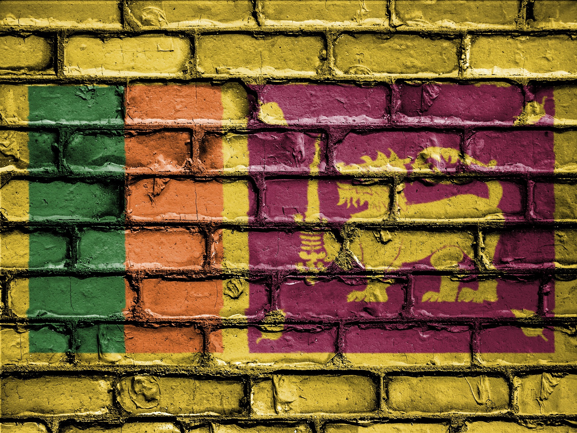 Sri Lankan government in disarray amid protests