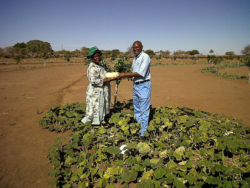 Inflation spikes in Zimbabwe