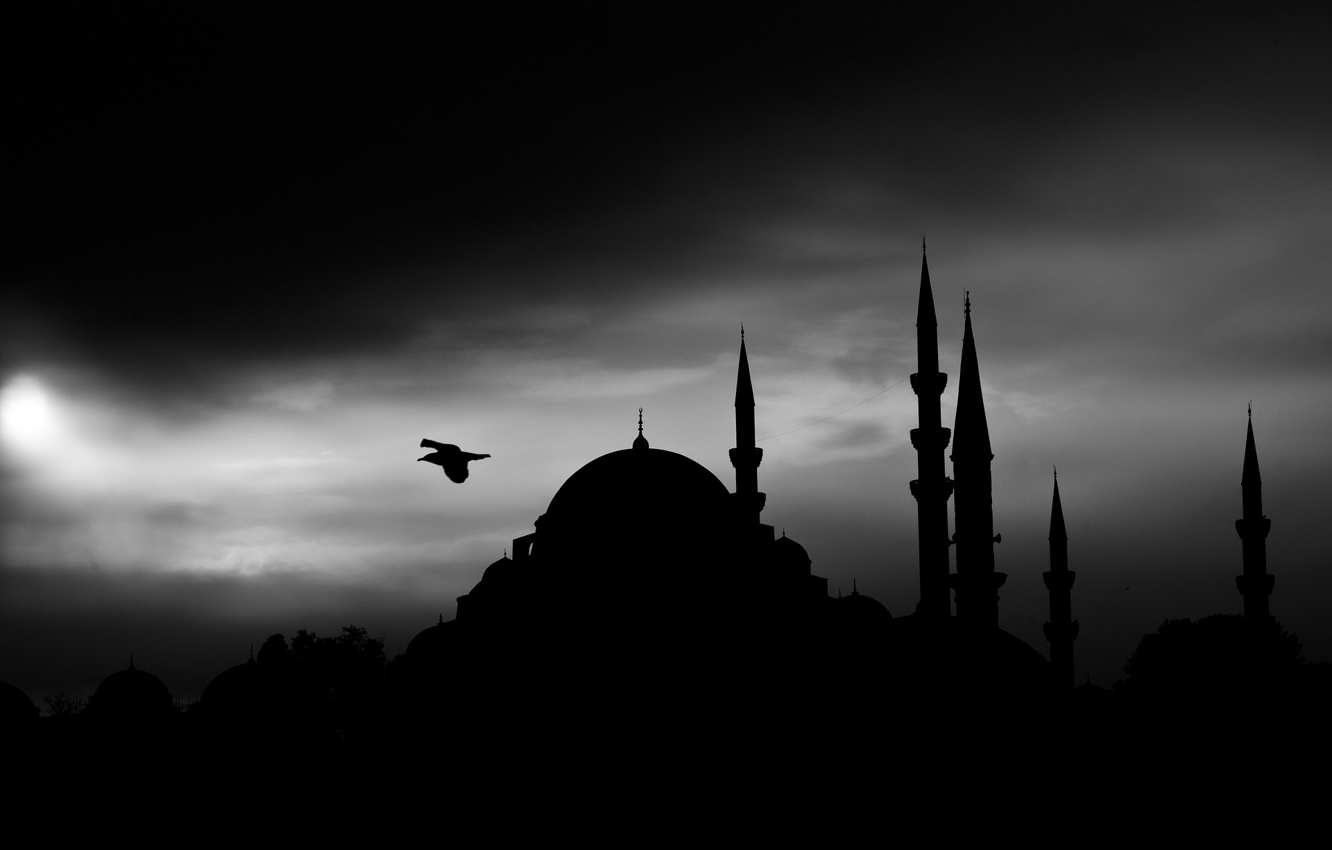 Cry Out connects Christians from a Muslim background