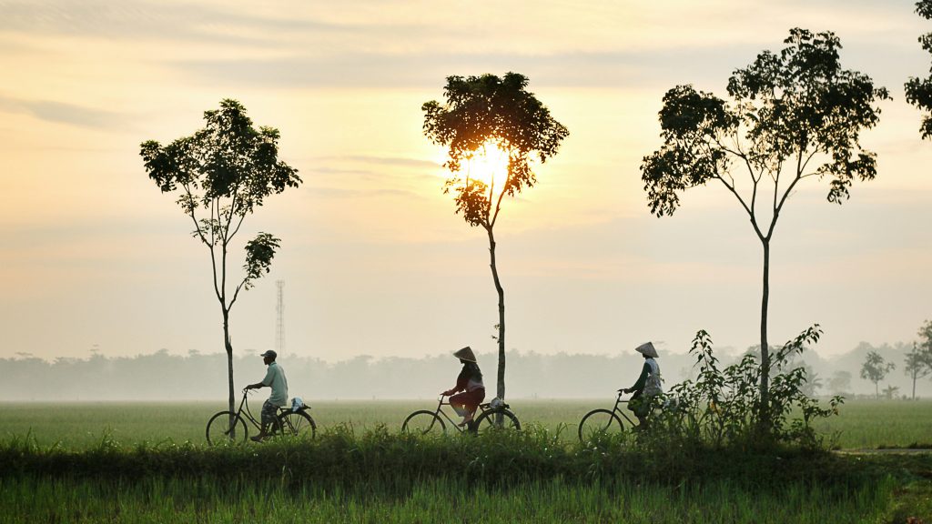 stock photo, Unsplash, Indonesia, bicycles, three, 3,