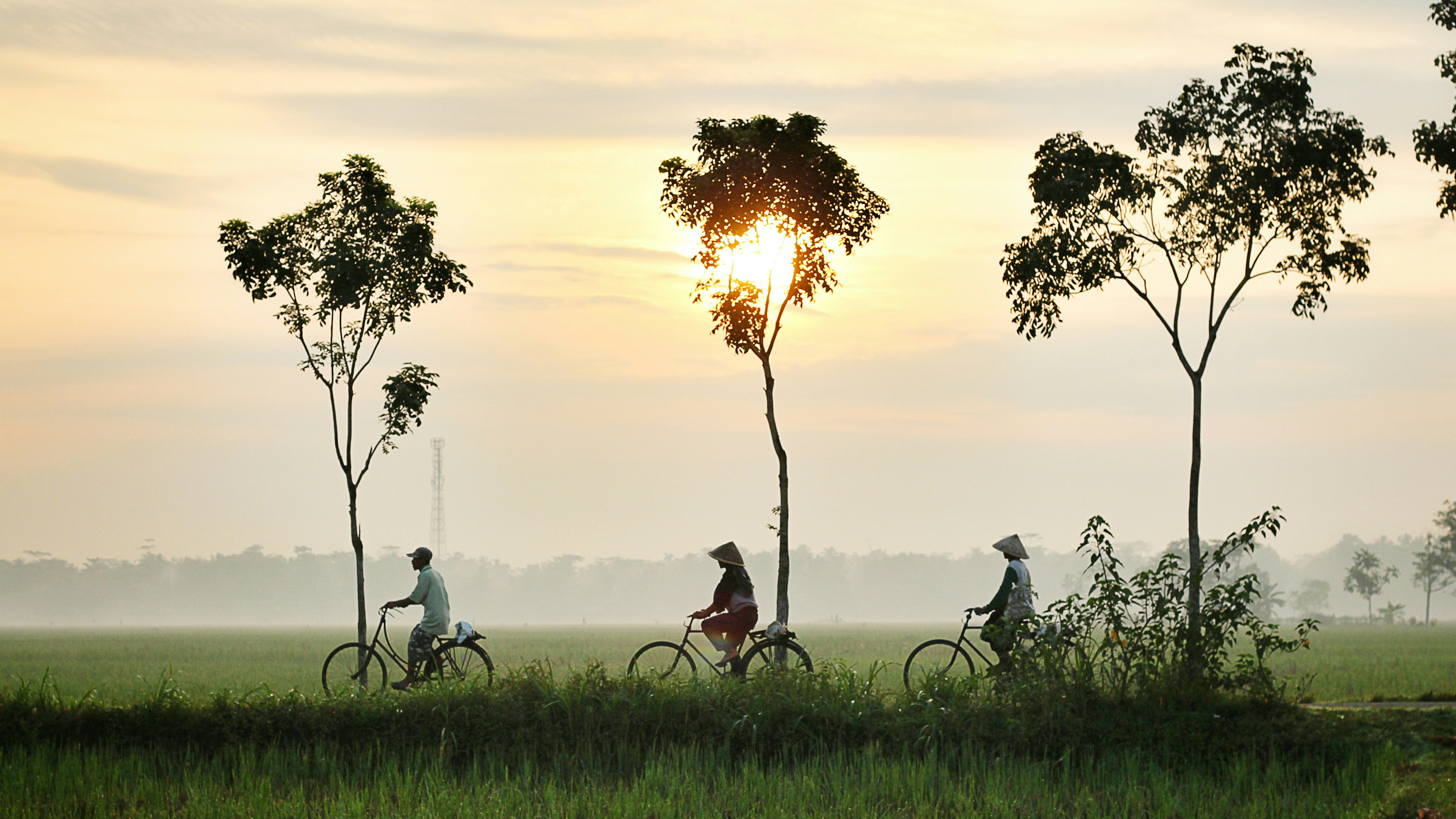 stock photo, Unsplash, Indonesia, bicycles, three, 3,