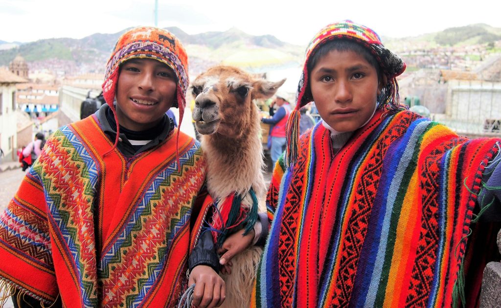 modified to be smaller, Peru, llama or alpaca, Peruvian, clothes