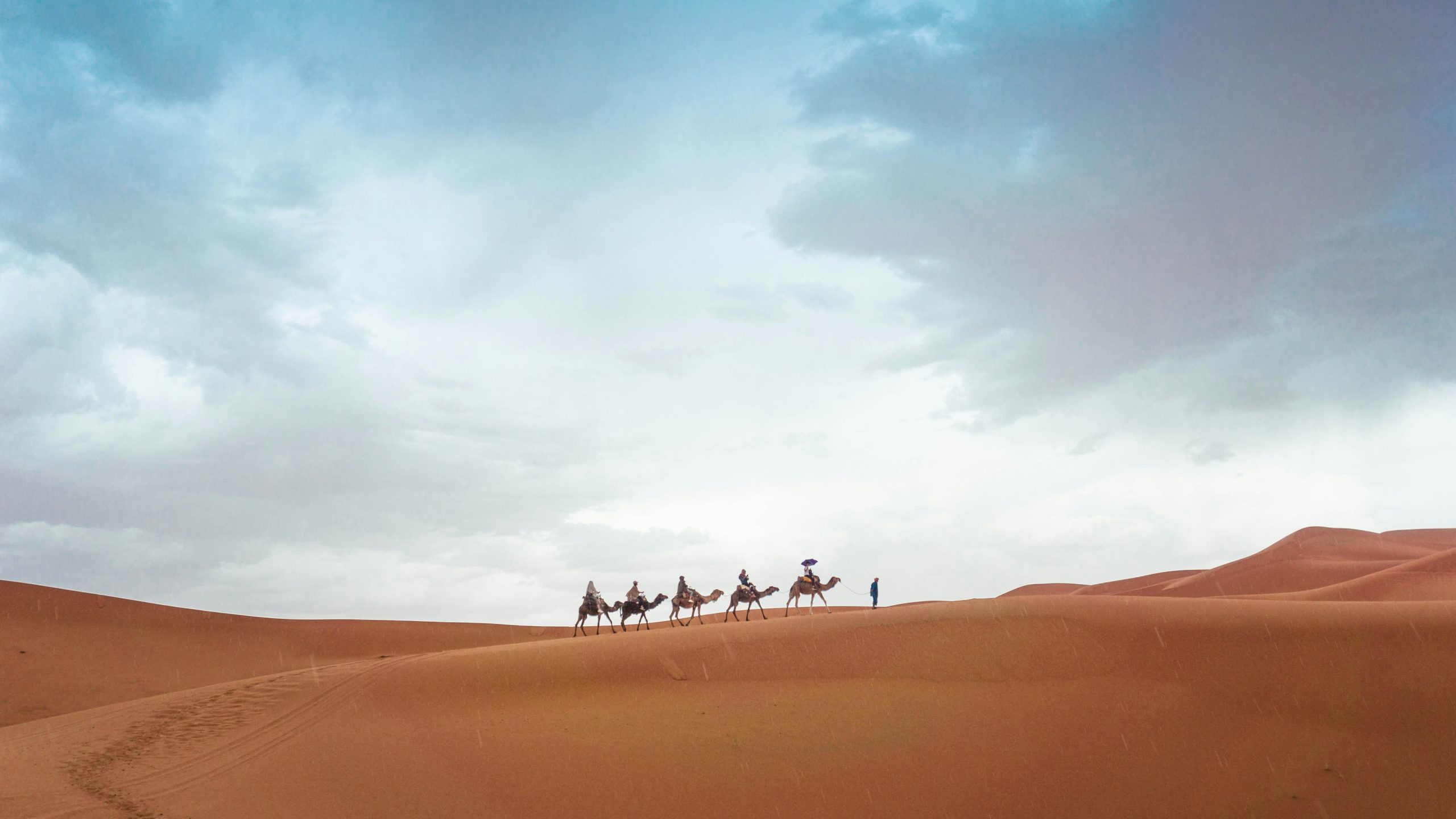 Church plants are a spiritual oasis in the Sahara Desert