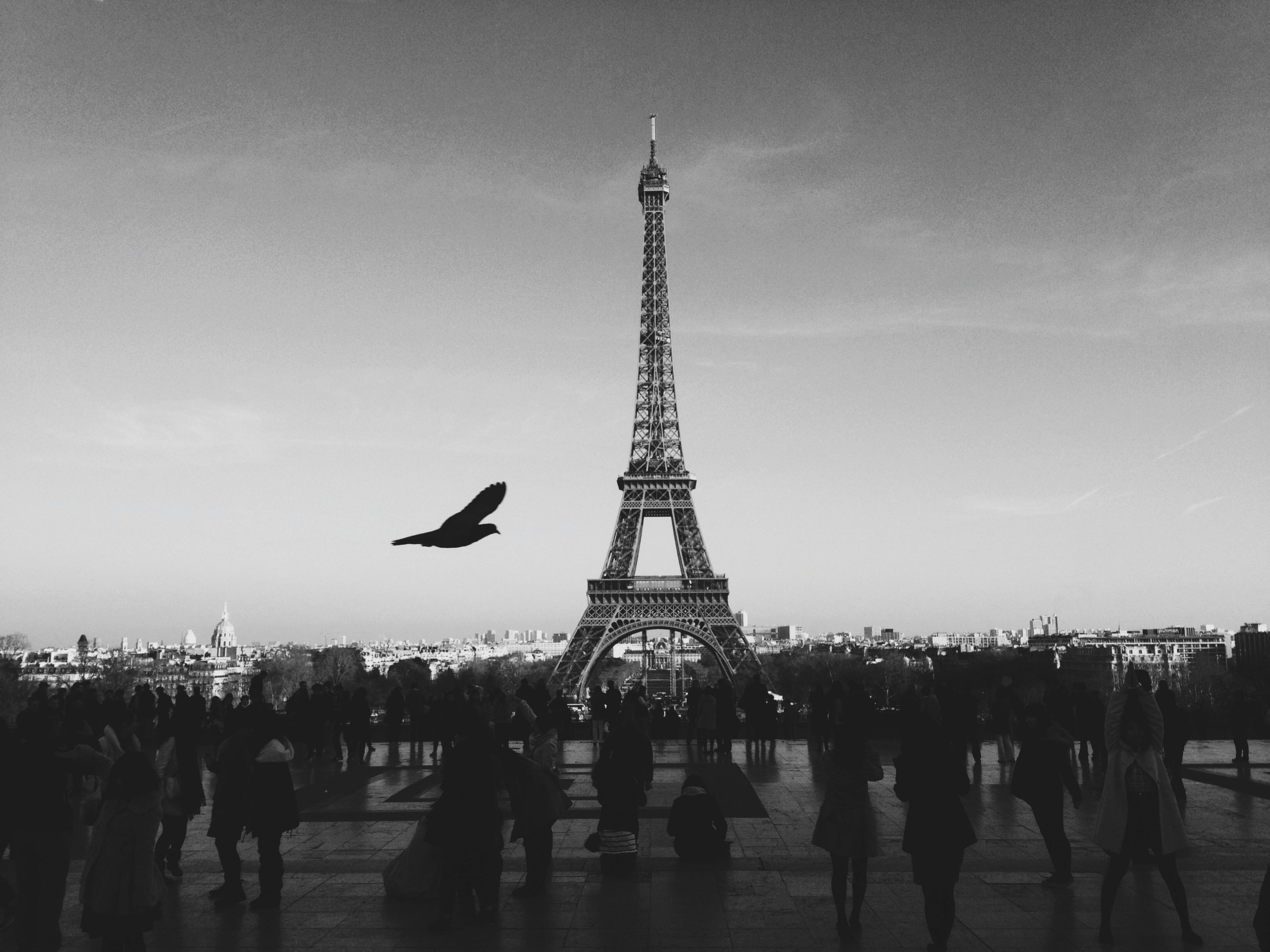 France needs a new Prime Minister. What’s next?