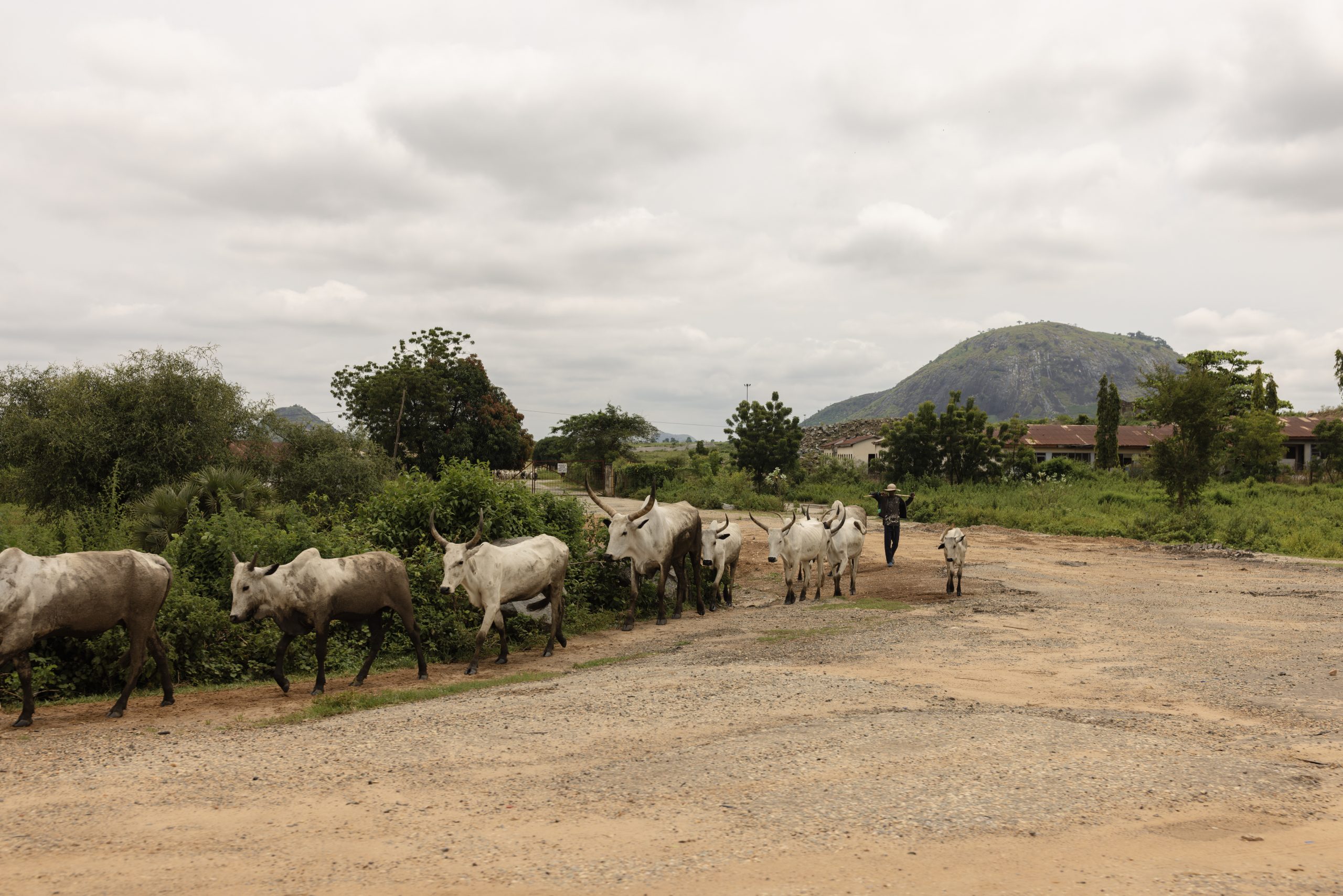 Fulani attacks moving south in Nigeria, impacting food security