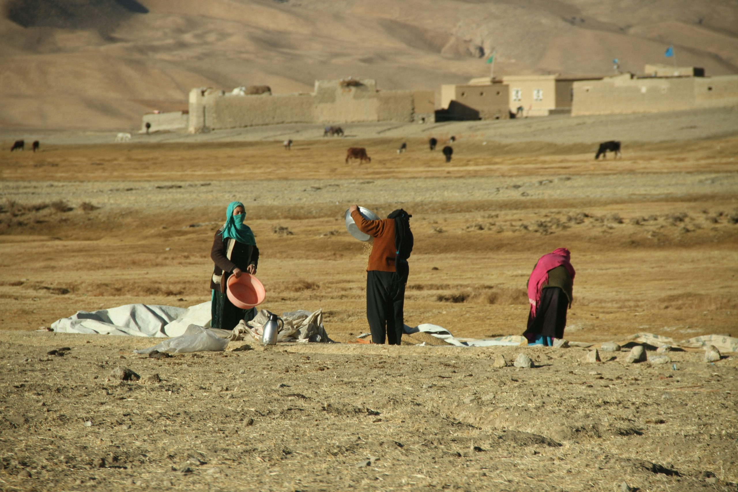 Afghanistan, women,
